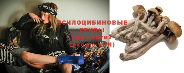 гидра Белоозёрский