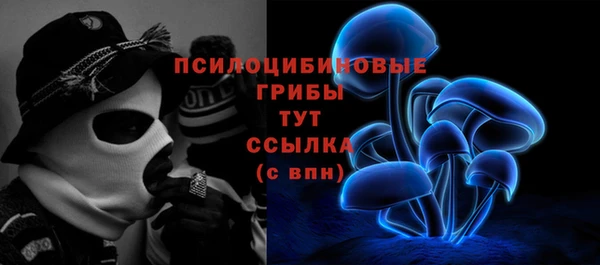 первитин Белокуриха